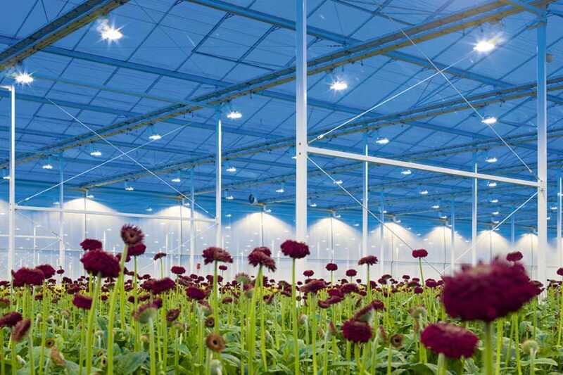 Peter Dekker Installaties