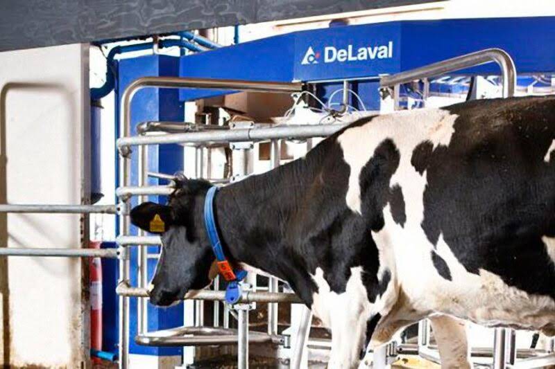DeLaval GmbH