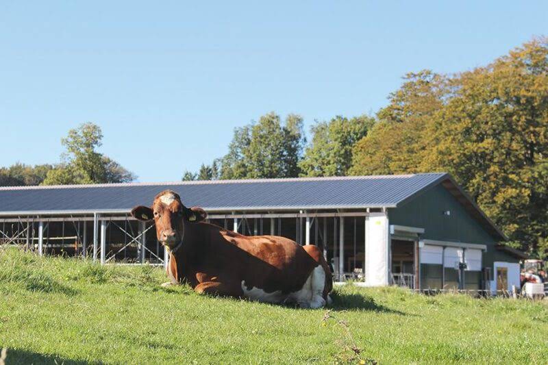 Hartmann GmbH & Co. KG