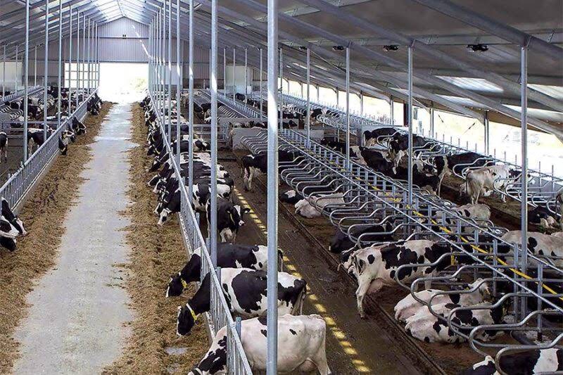 Royal de Boer Stalinrichtingen B.V.