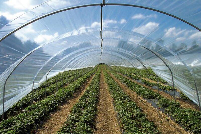 FVG Folien-Vertriebs GmbH