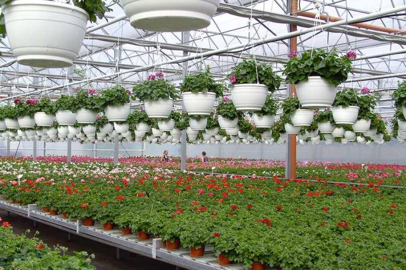 Vermako Plastic Greenhouses