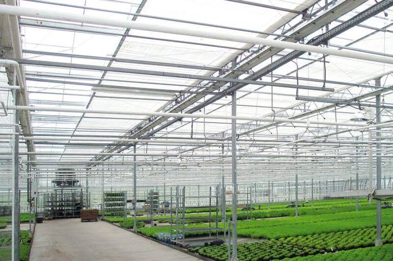 Reimann Spinnerei und Weberei GmbH