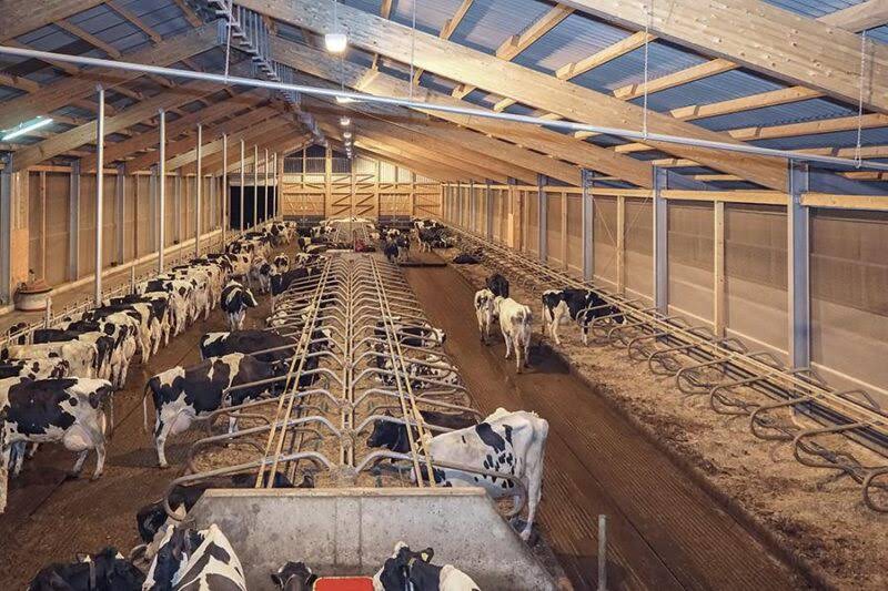 August Müller Lichttechnik AG