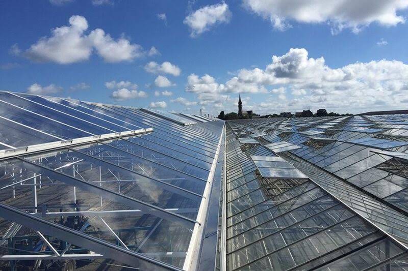 MG Orlik Gewächshäuser