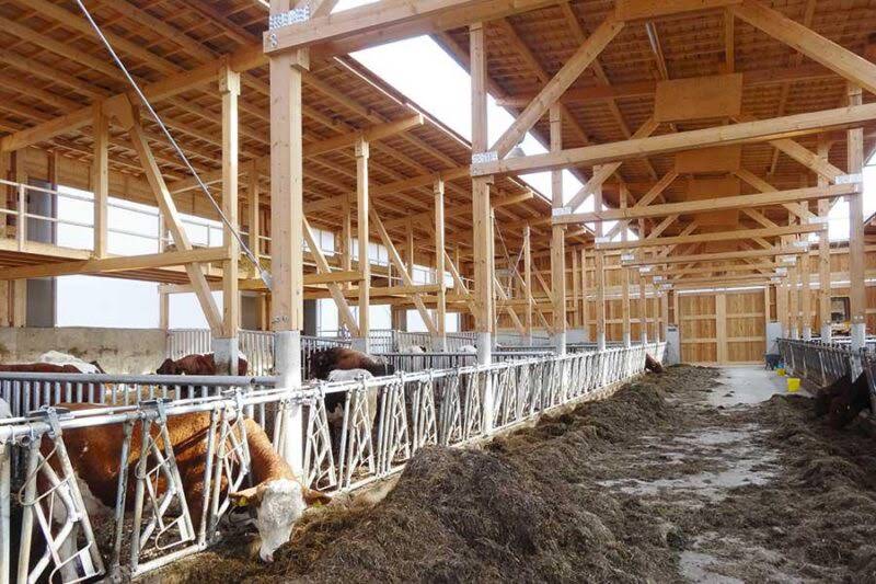 Oberleitner Windschutz GmbH & Co. KG