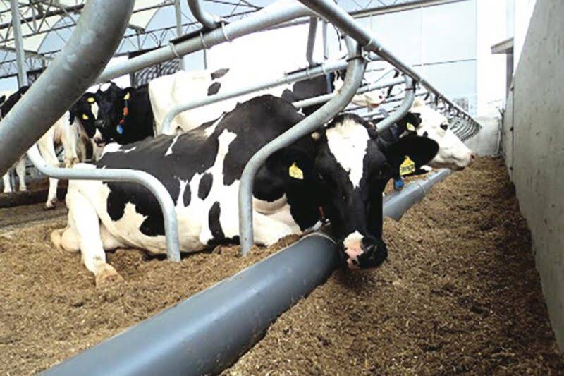 Visscher Separators B.V.