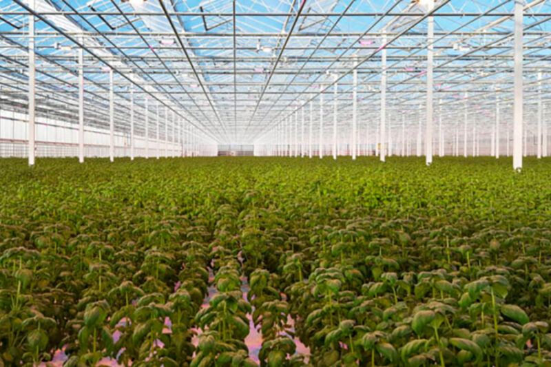 Looije Agro Technics BV