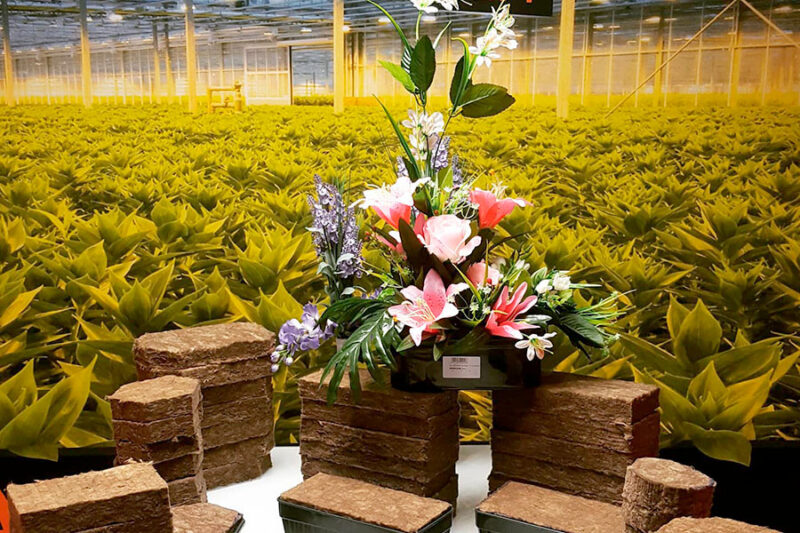 AgraWool International