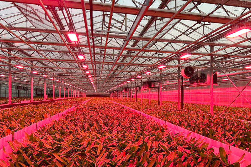 Ambra Elettronica s.r.l.