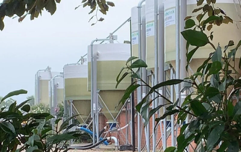 Brinkmann Technology GmbH