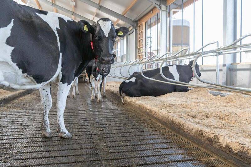 ProFlex Betonproducten B.V.