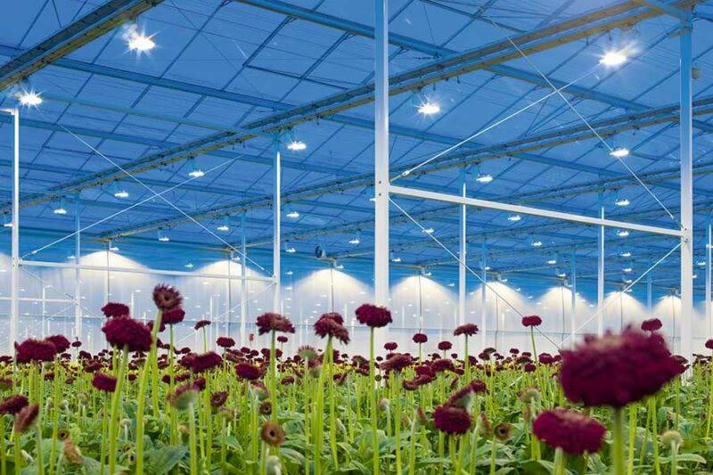 Peter Dekker Installaties