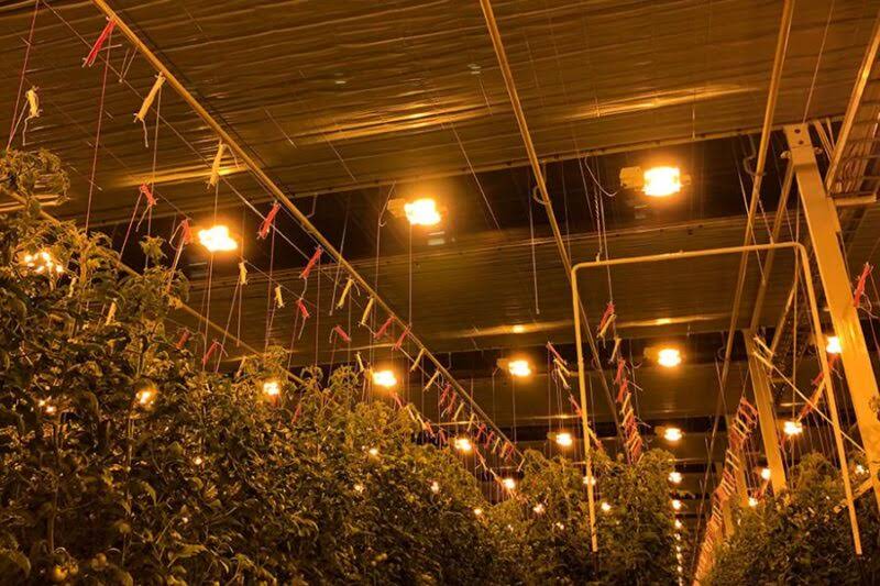 Dutch Lighting Innovations