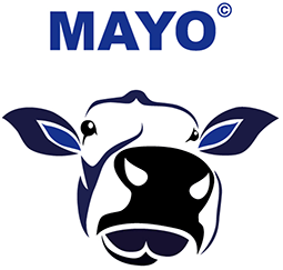 MAYO