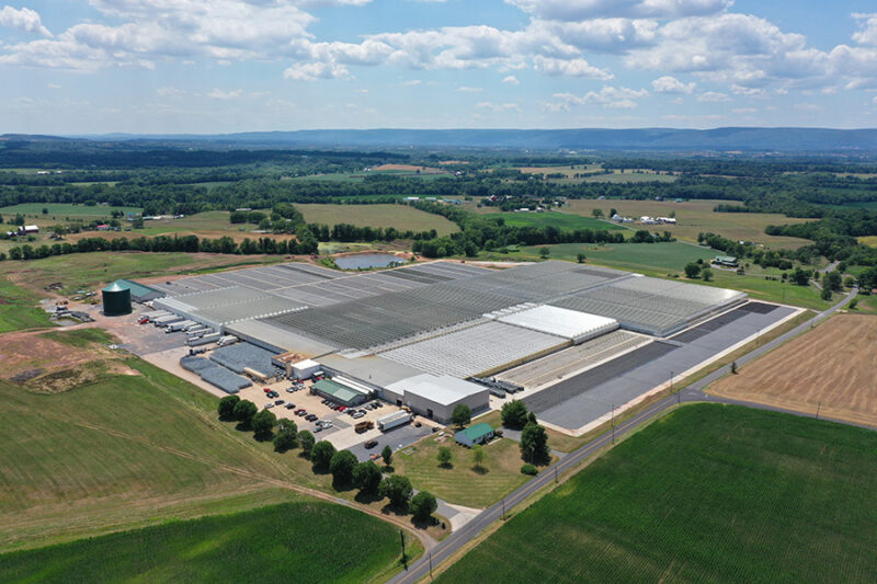 GreenV – Building Thriving Businesses