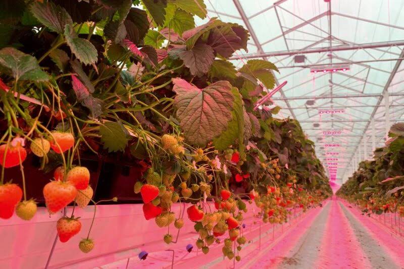 MechaTronix Europe NV