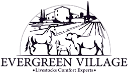 Evergreen Village