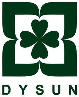 DYSUN INTERNATIONAL DEVELOPMENT LIMITED